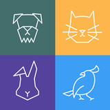 VetGuide Medicina Veterinária(Official)1.0.7_playmods.net