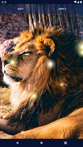 Brave Lion Live Wallpaper_playmods.net