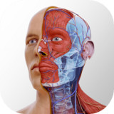 Complete Anatomy 2022(Official)1.0_playmods.net