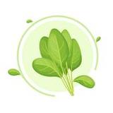 giải cứu thế giới xanh - tưới _playmods.net