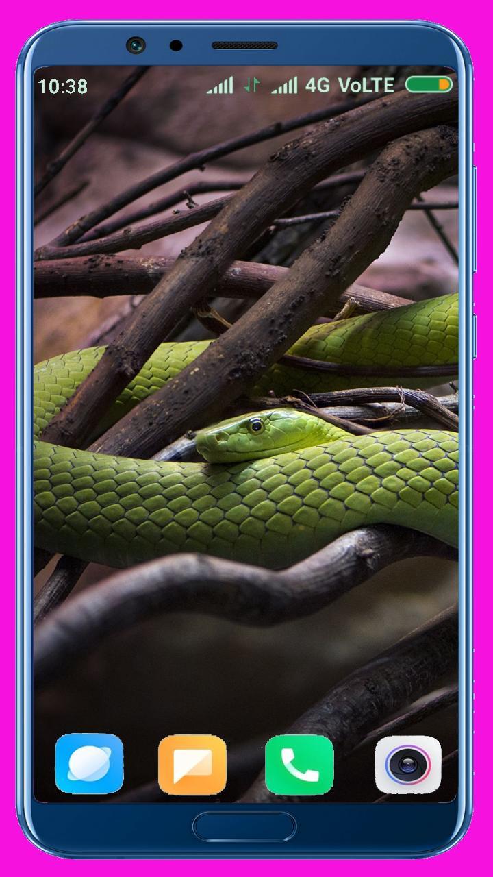 Snake HD Wallpaper_playmods.net
