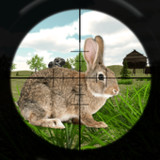 Rabbit Hunting Challenge_playmods.net