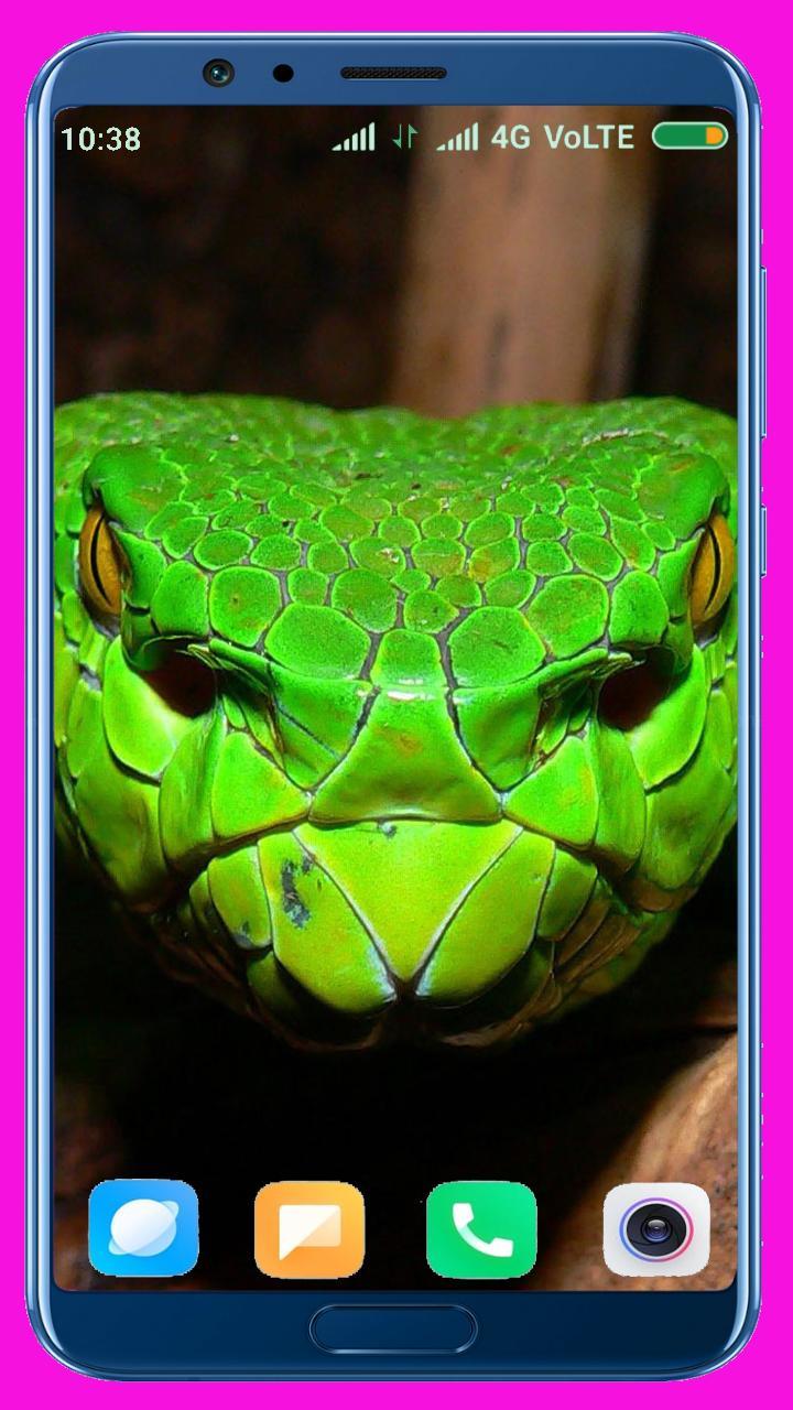 Snake HD Wallpaper_playmods.net
