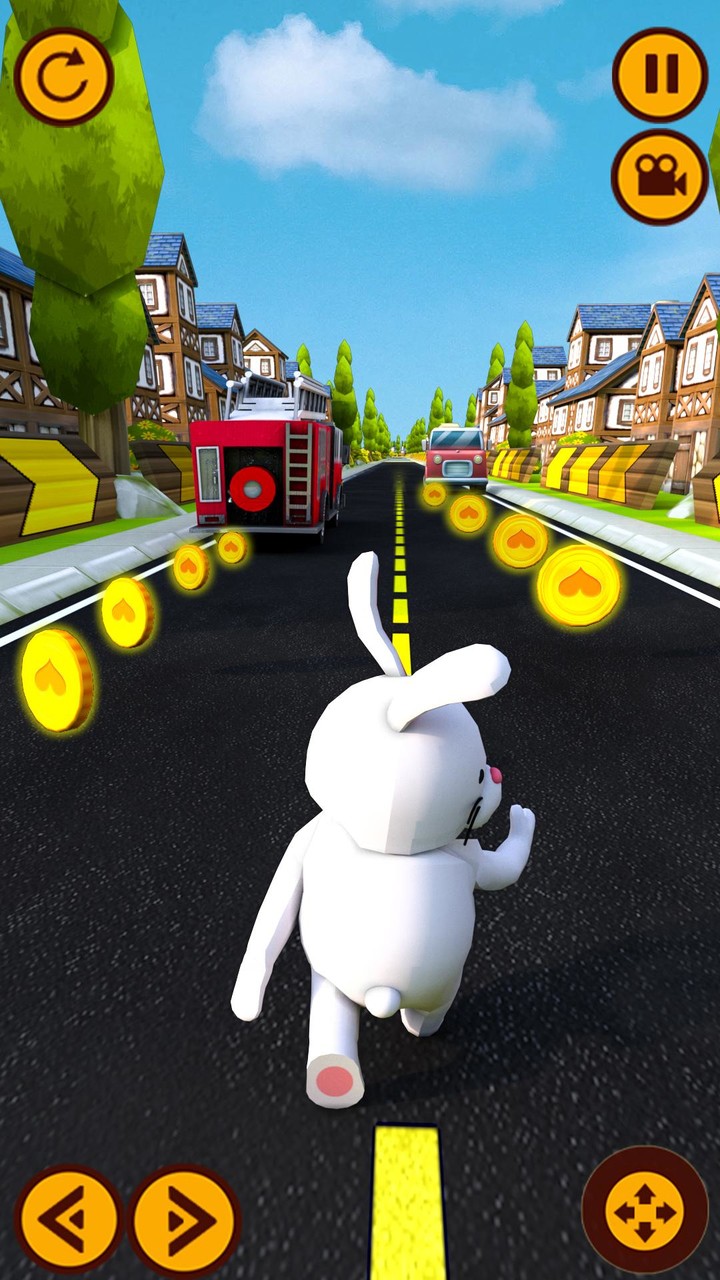 Rabbit Runner Pet Running Game_playmods.net