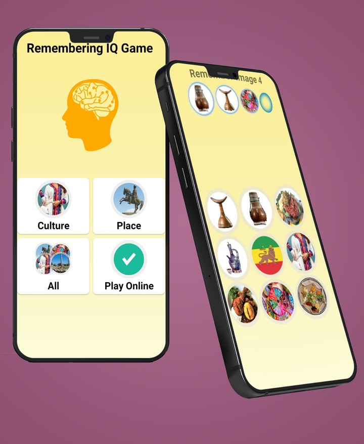 Ethiopian Image IQ Game Memory_playmods.net