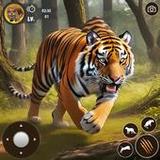 Wild Tiger Sim: Animal Games_playmods.net