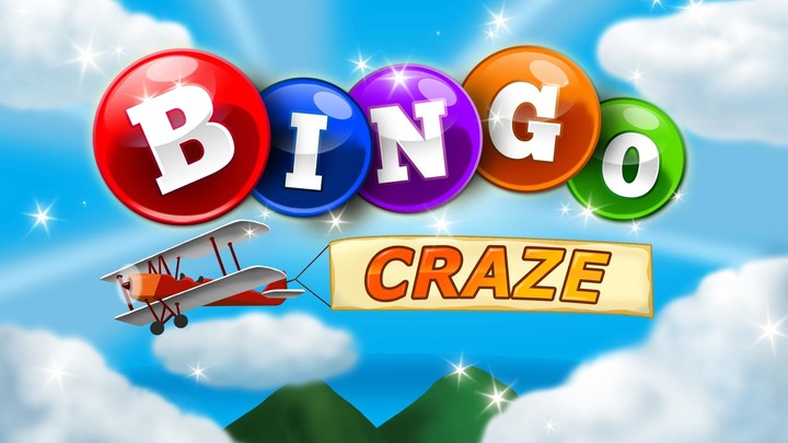 Bingo Craze_playmods.net