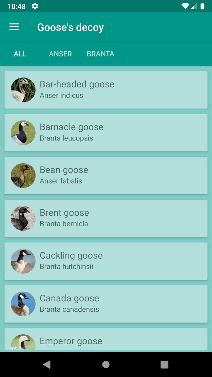 Progressive Goose Decoy_playmods.net