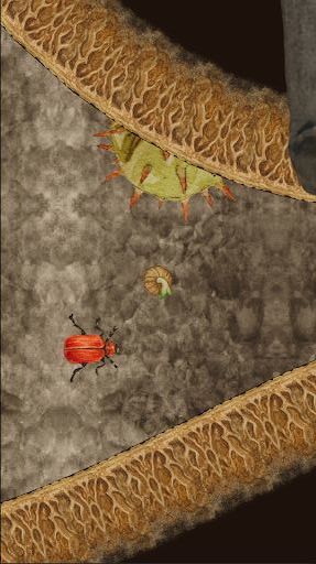 发芽啦！_playmods.net