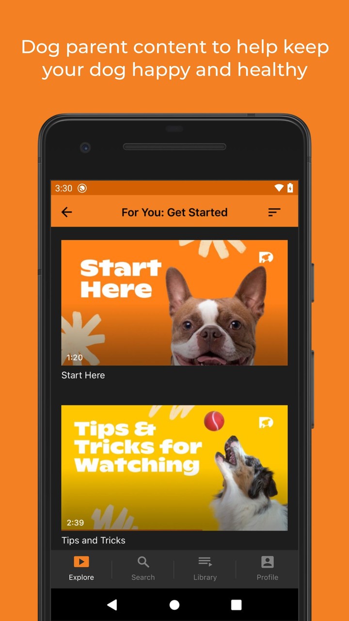 DOGTV_playmods.net