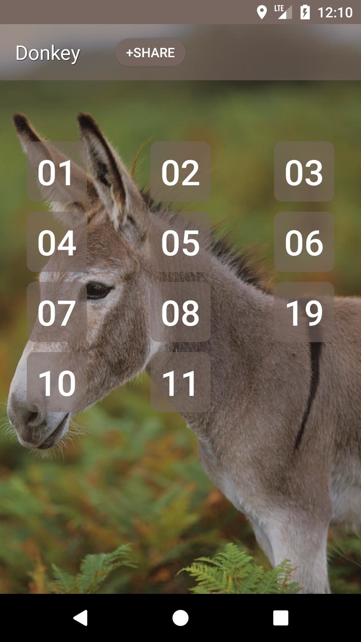 Donkey sounds_playmods.net