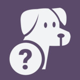 Quiz School | Dog breeds_playmods.net