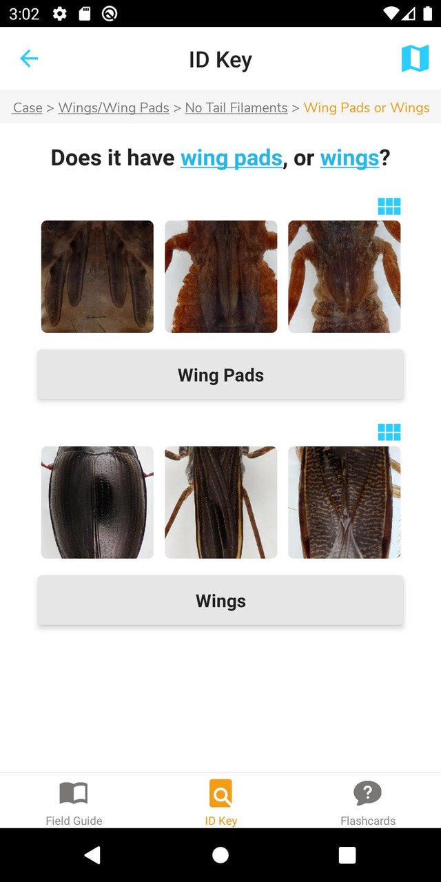 PocketMacros_playmods.net