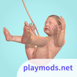 9 Months(Mod Menu)1.41.1_playmods.net