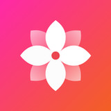 Gallery - Simple and fast(Official)v8.5.0.0.G050.0_playmods.net