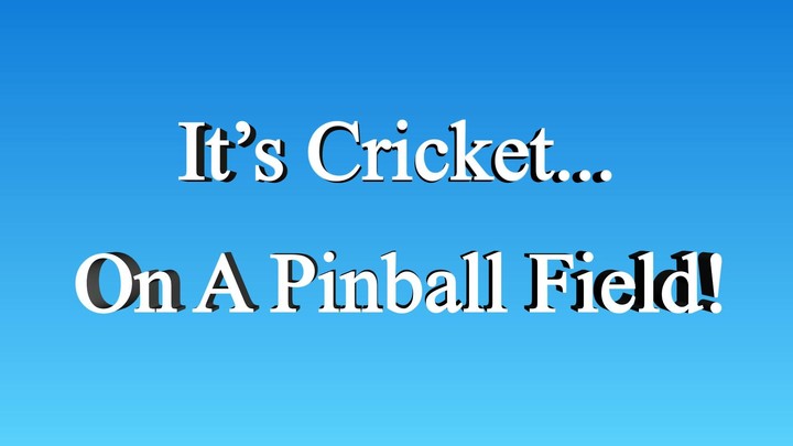 Cricket Pinball League 2022_playmods.net
