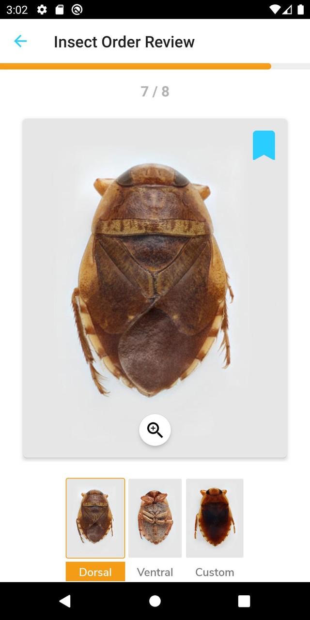 PocketMacros_playmods.net