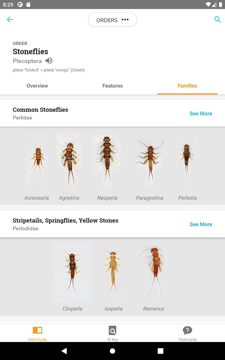 PocketMacros_playmods.net