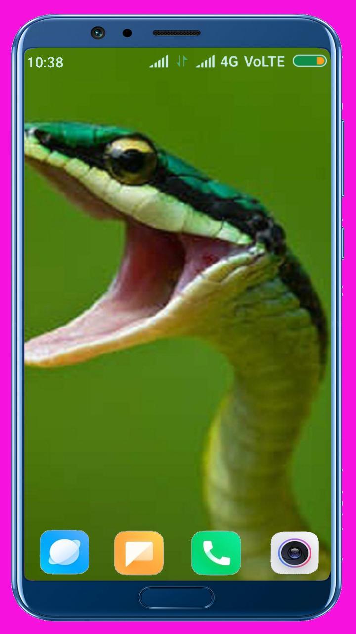 Snake HD Wallpaper_playmods.net