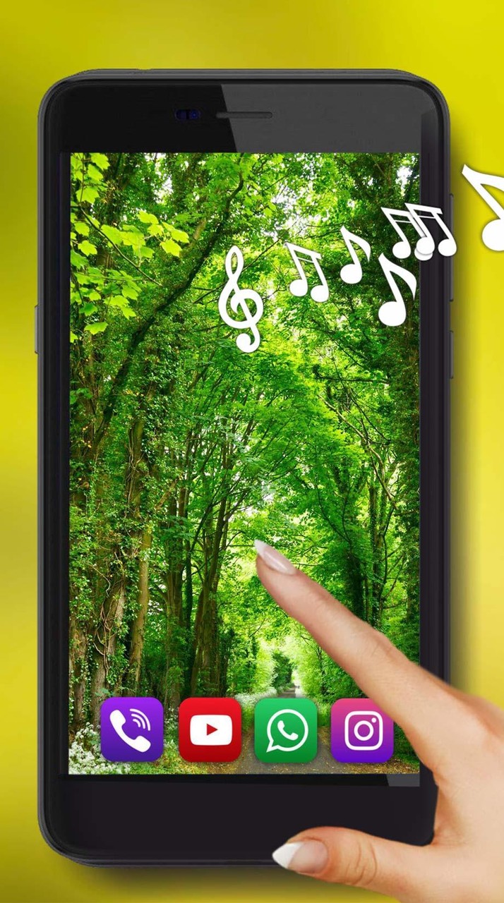 Forest Music Live Wallpaper_playmods.net
