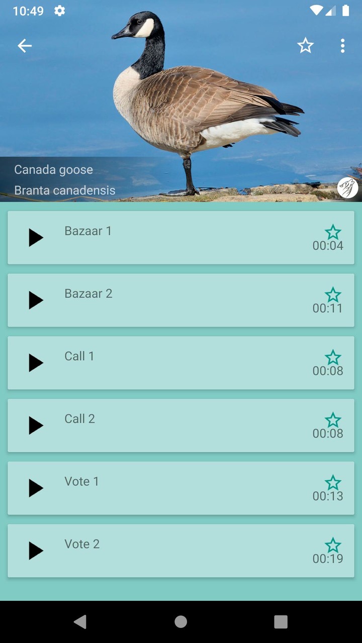 Progressive Goose Decoy_playmods.net
