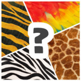 Guess the animal. Word puzzle._playmods.net
