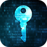Connected Wifi Info(Official)15.0_playmods.net