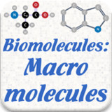Biomolecules: Macromolecules_playmods.net