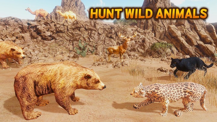 The Bear - Animal Simulator_playmods.net