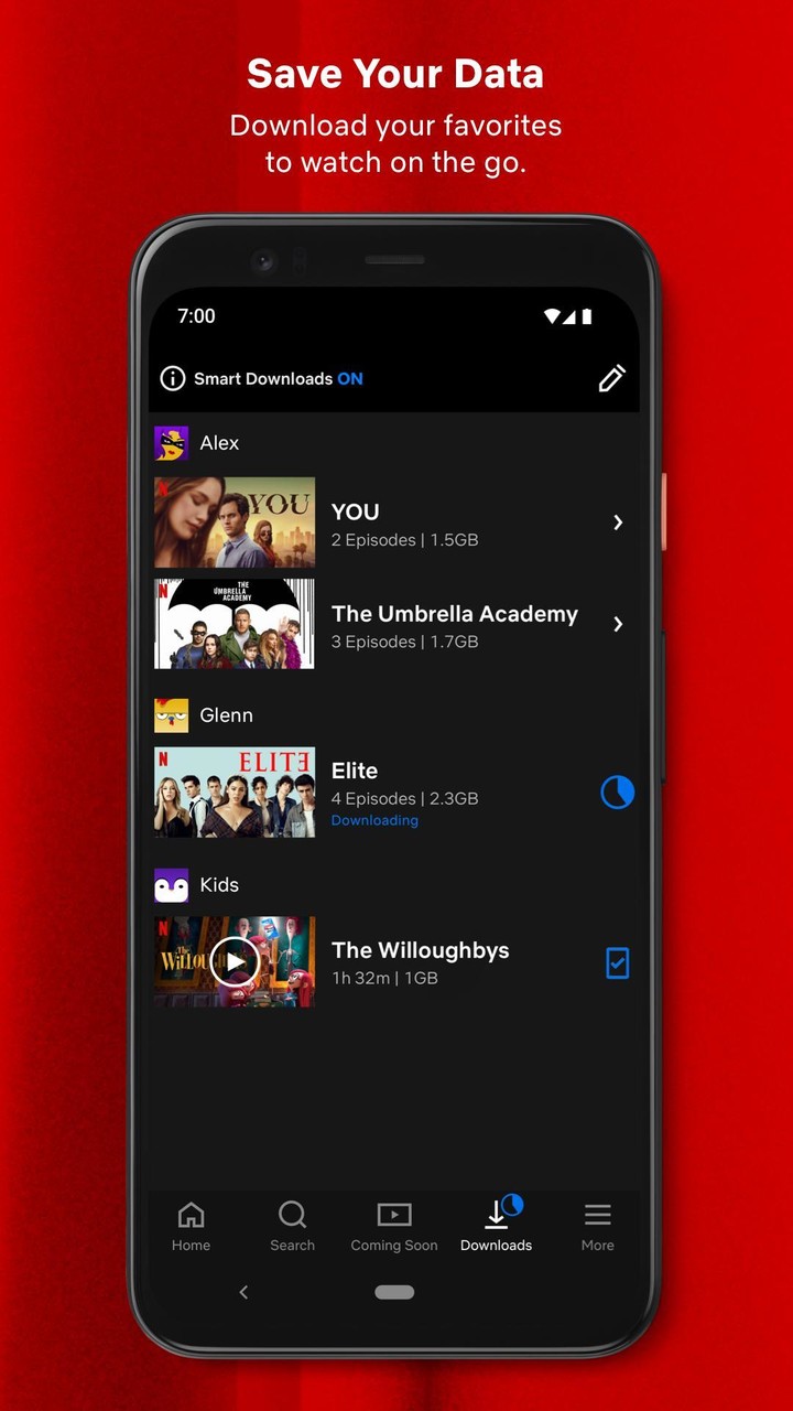 Netflix_playmods.net