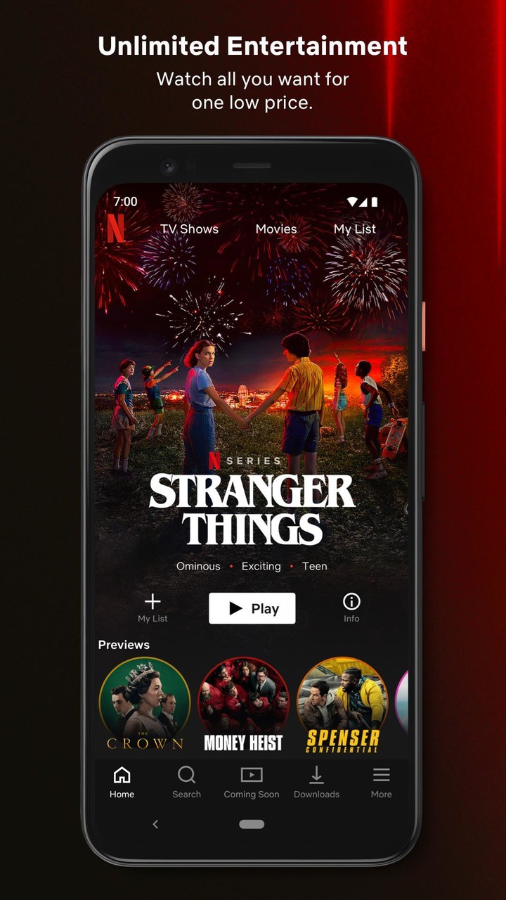 Netflix_playmods.net