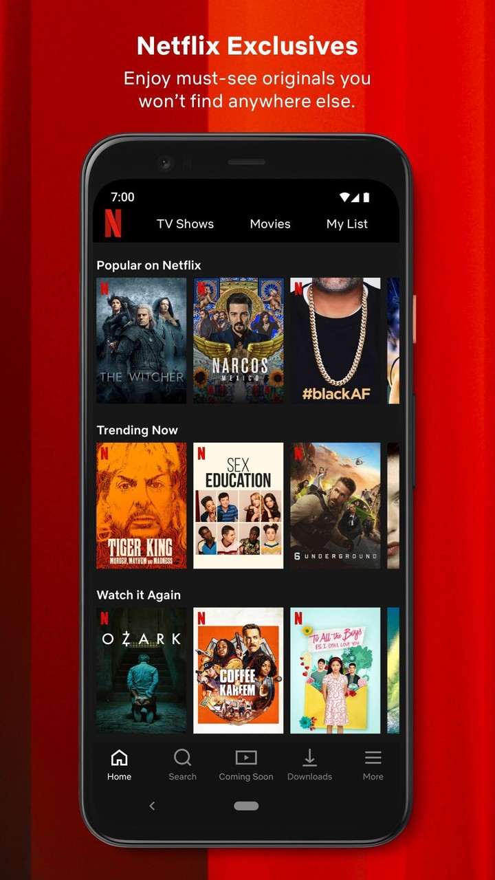 Netflix_playmods.net