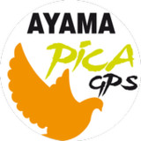 Ayama Pointer Pica_playmods.net