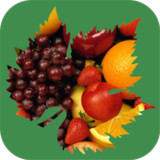 Frutt's Hortifruti(Official)1.3.1_playmods.net
