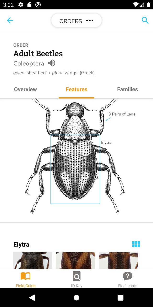PocketMacros_playmods.net