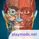 Anatomy Learning - 3D Anatomy(Full version Unlocked)2.1.425_playmods.net