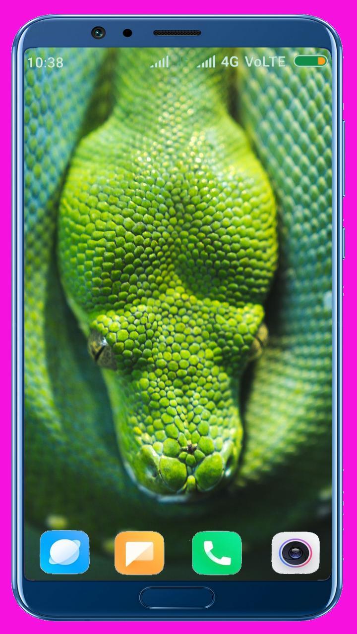 Snake HD Wallpaper_playmods.net