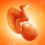 Pregnancy and Due Date Tracker(Official)3.71.0_playmods.net