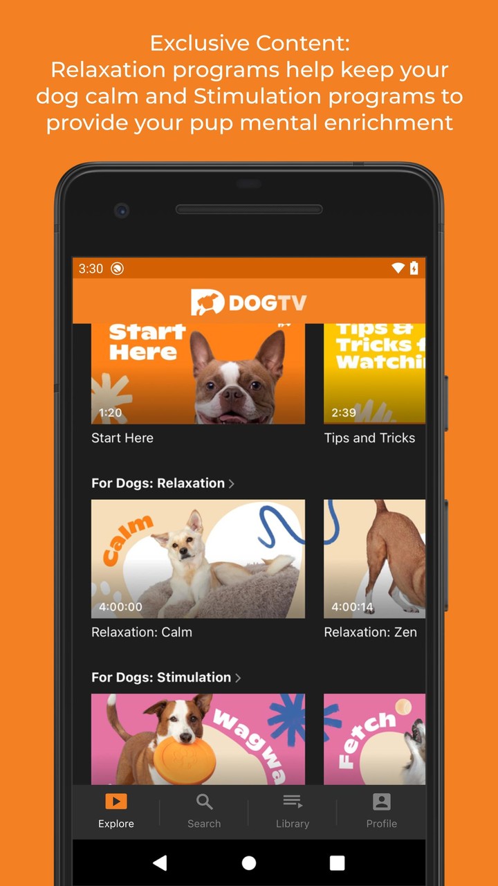 DOGTV_playmods.net
