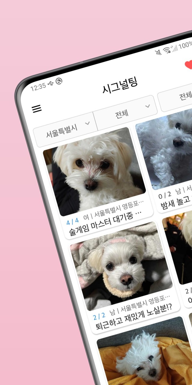 시그널팅 - 대학생/직장인 미팅, 소개팅, 과팅_playmods.net