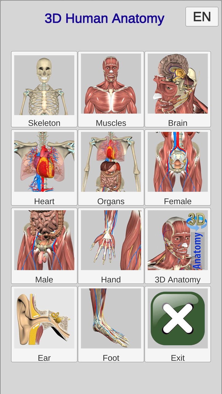 3D Bones and Organs (Anatomy)_playmods.net