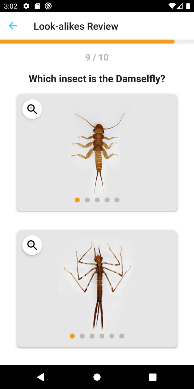 PocketMacros_playmods.net