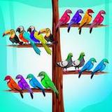 Color Bird Sort: Puzzle Game_playmods.net
