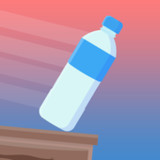 Impossible Bottle Flip_playmods.net