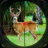 Safari Deer Hunting: Gun Games_playmods.net