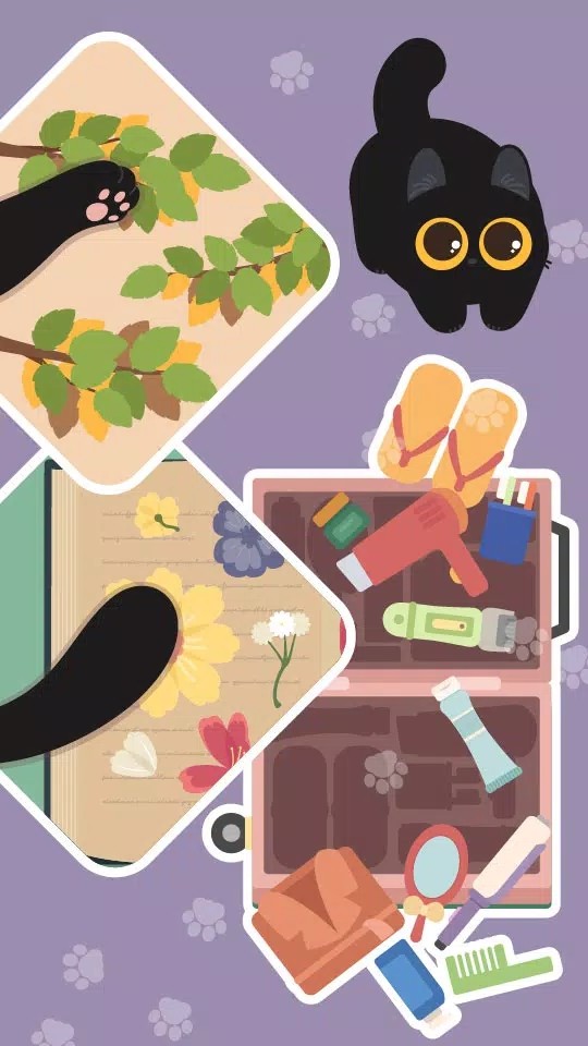 Tidying Master Satisfying ASMR_playmods.net