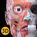 Anatomy 3D Atlas(Official)4.3.0_playmods.net
