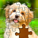 Jigsaw Puzzles: 10,000 Puzzles_playmods.net