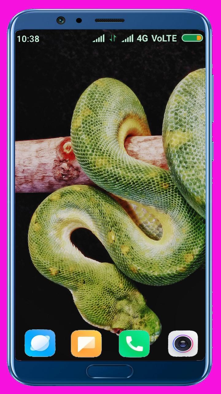 Snake HD Wallpaper_playmods.net
