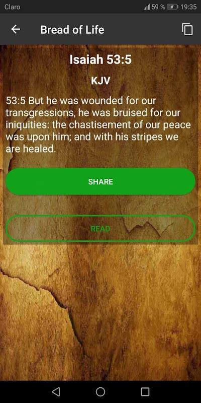 KJV - Holy Bible King James Version_playmods.net